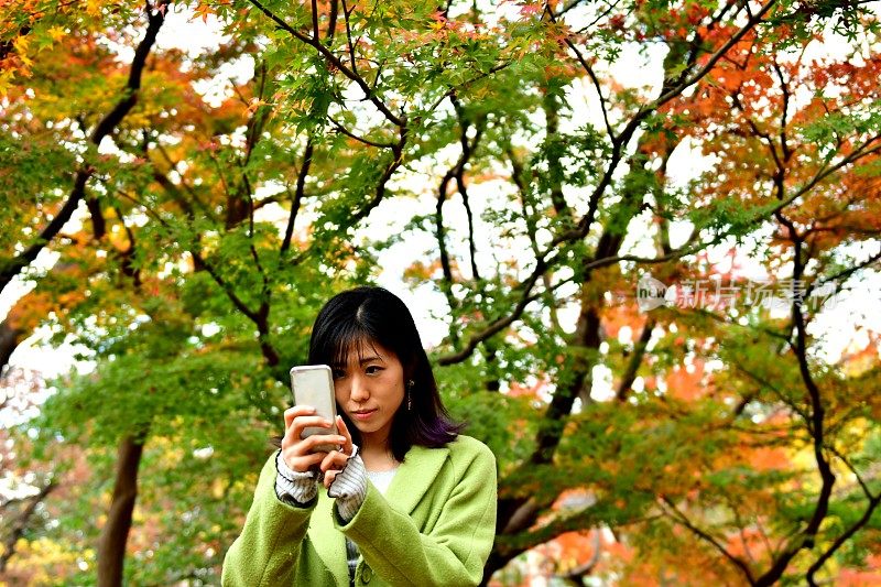 一名日本女子在东京的秋叶下自拍