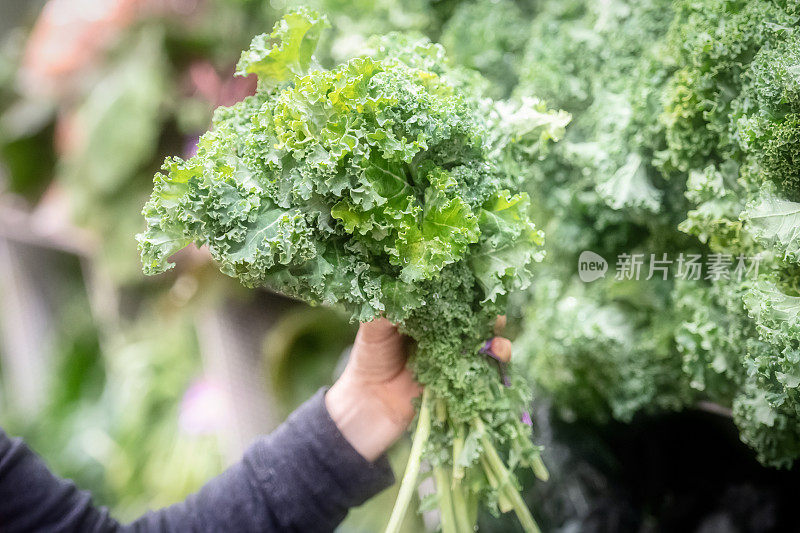 顾客手里拿着一束有机甘蓝