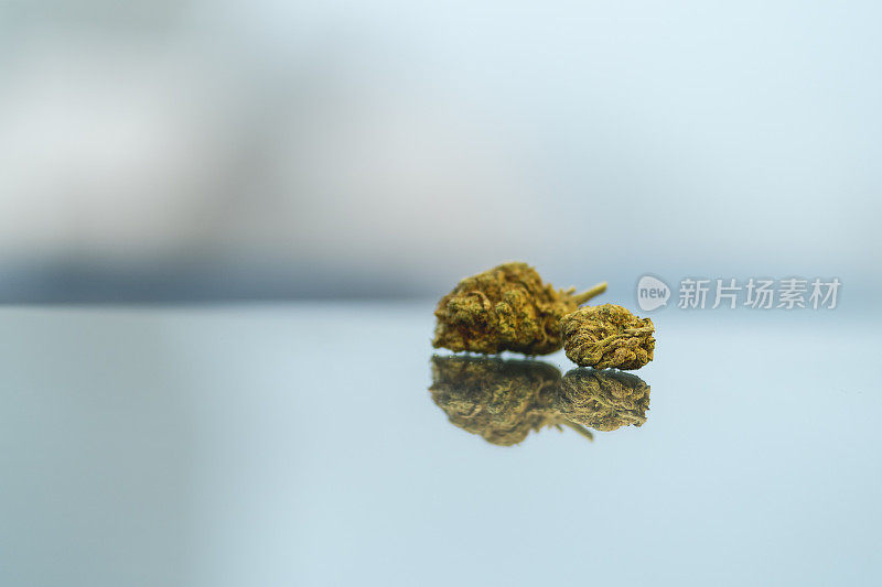 合法的大麻