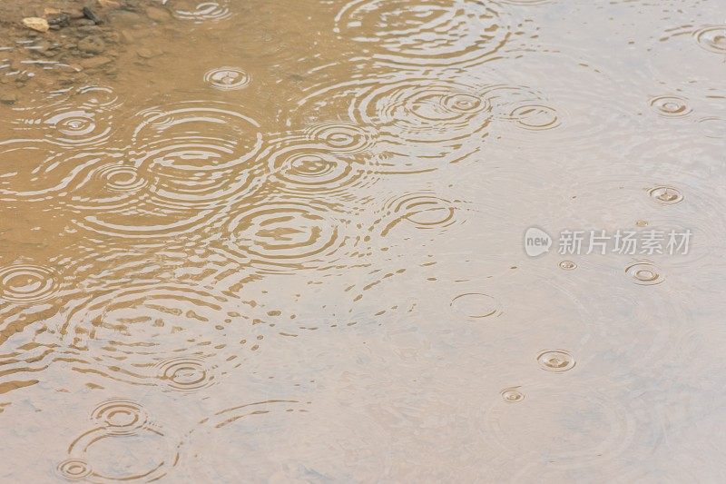 雨落在水坑里