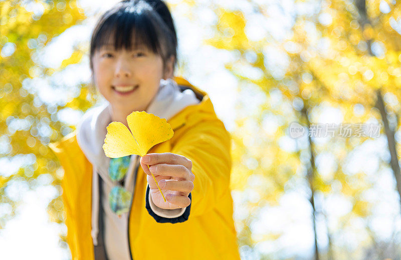 拿着一片黄色银杏叶的女人