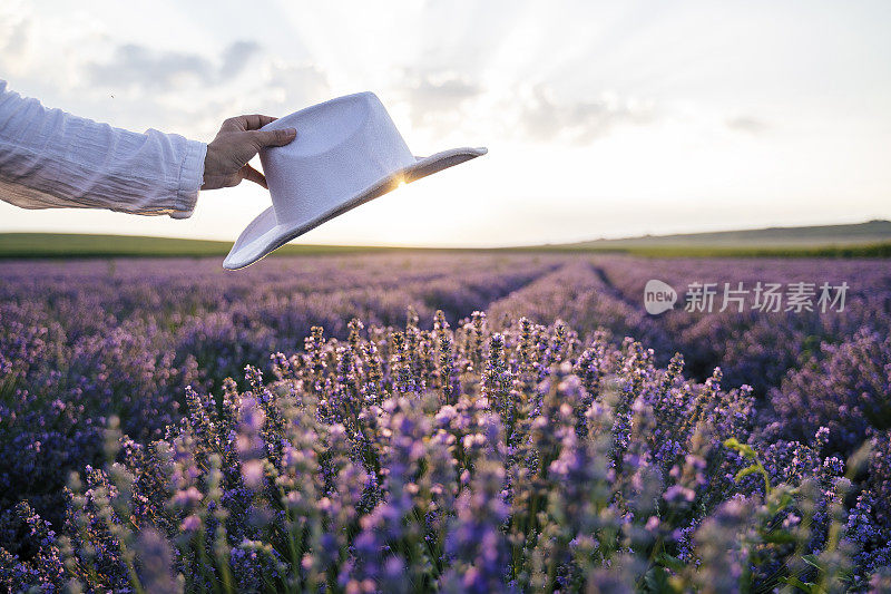 现代农妇走在她的薰衣草田在夏天，小型企业和投资，农业职业。