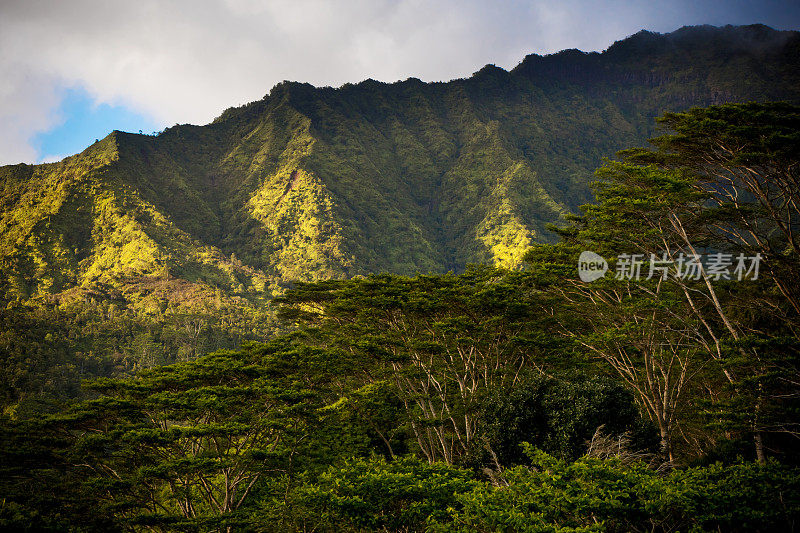 夏威夷考艾岛，郁郁葱葱的Makaleha山