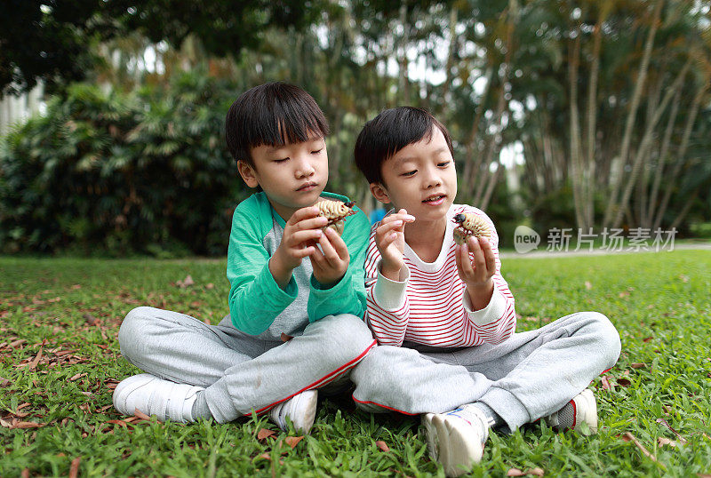 孩子有一只甲虫