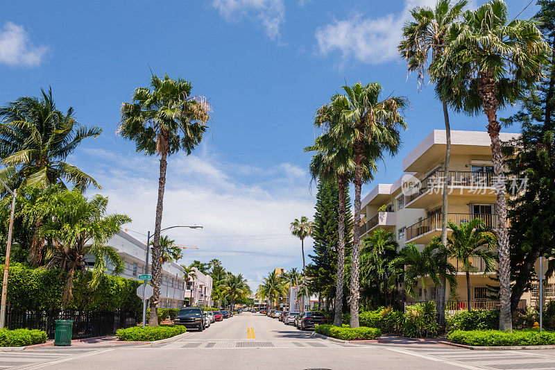 热带迈阿密海滩街景与棕榈树
