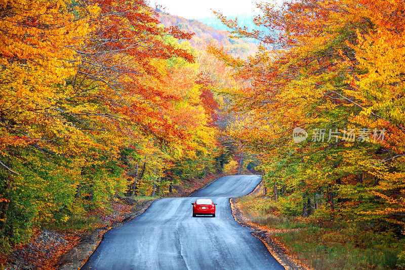 新罕布什尔州白山的秋天