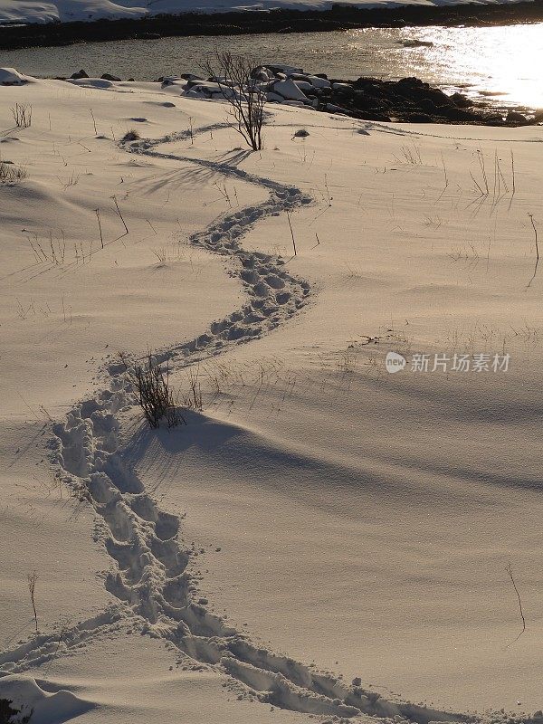 雪地上弯曲的脚印