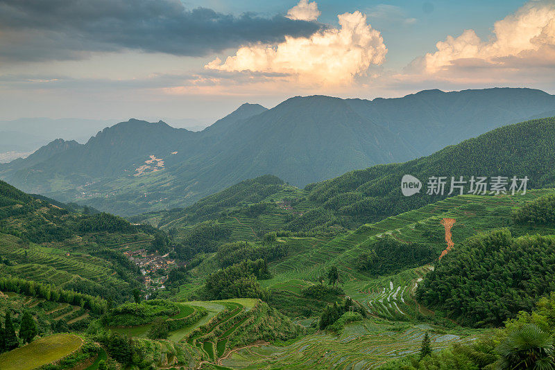 浙江云河的梯田