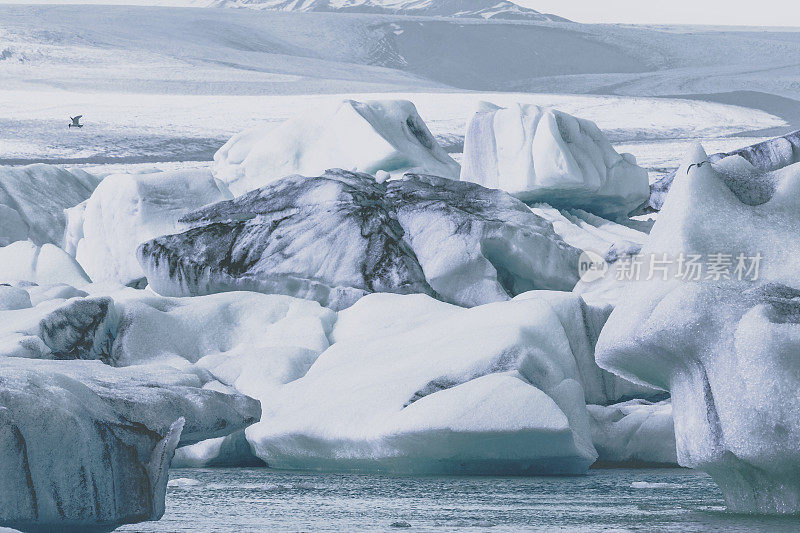 冰山在冰岛漂到海里之前在Jokulsalon冰川泻湖中融化