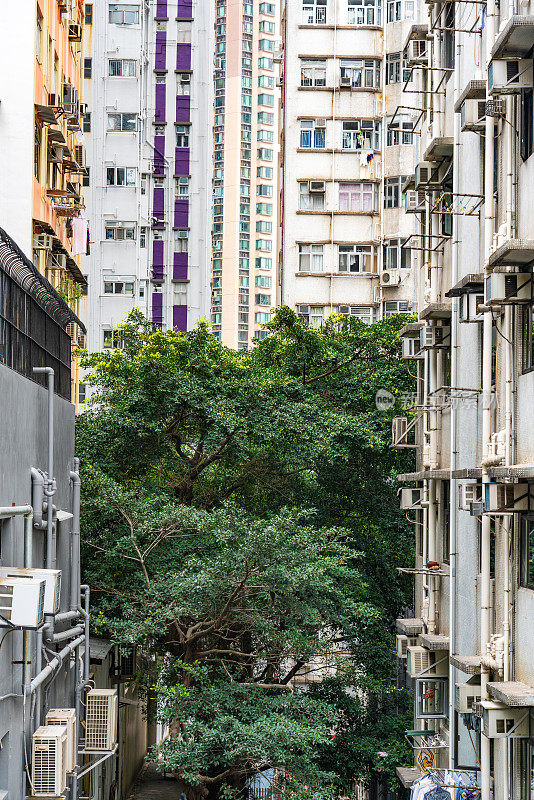 香港西区街景