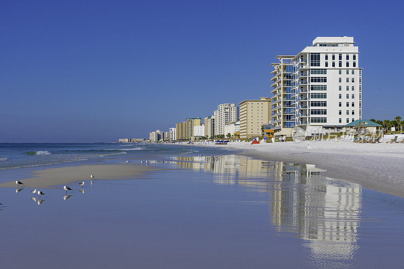 佛罗里达德斯汀海滩上的海鸥和公寓