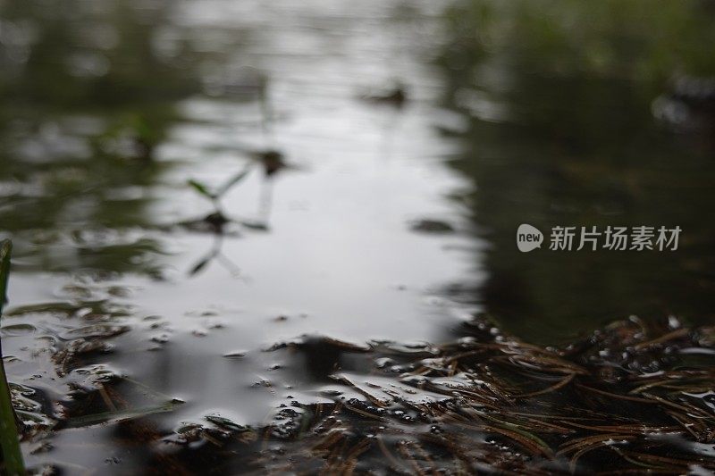 水坑与雨滴