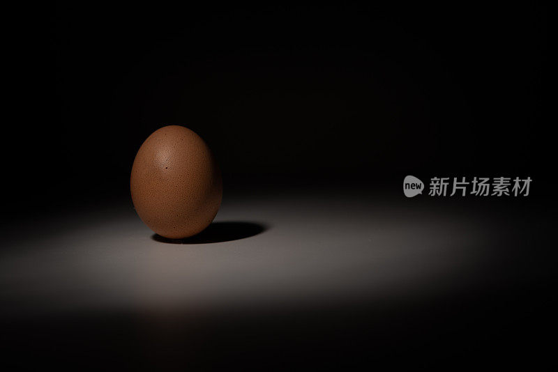 只有Egg