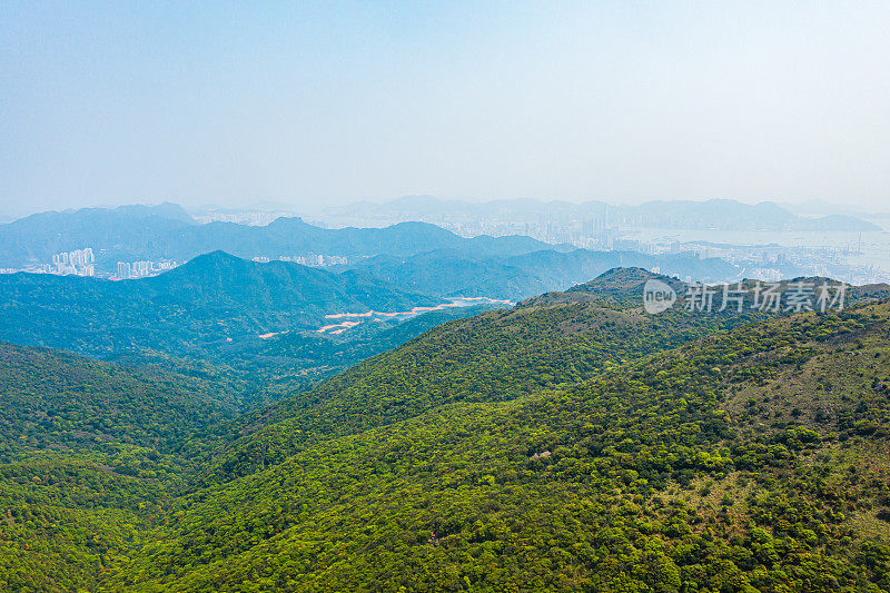 香港大帽山夏日阳光明媚，天空湛蓝