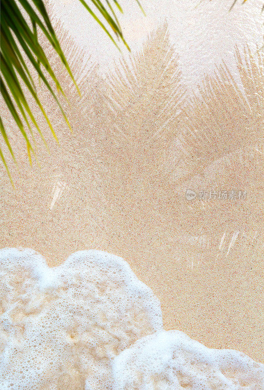 一棵棕榈树在阳光明媚的热带海滩的湿沙上的艺术反射