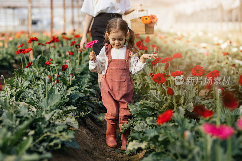 快乐的小女孩和她的妈妈在苗圃照顾鲜花