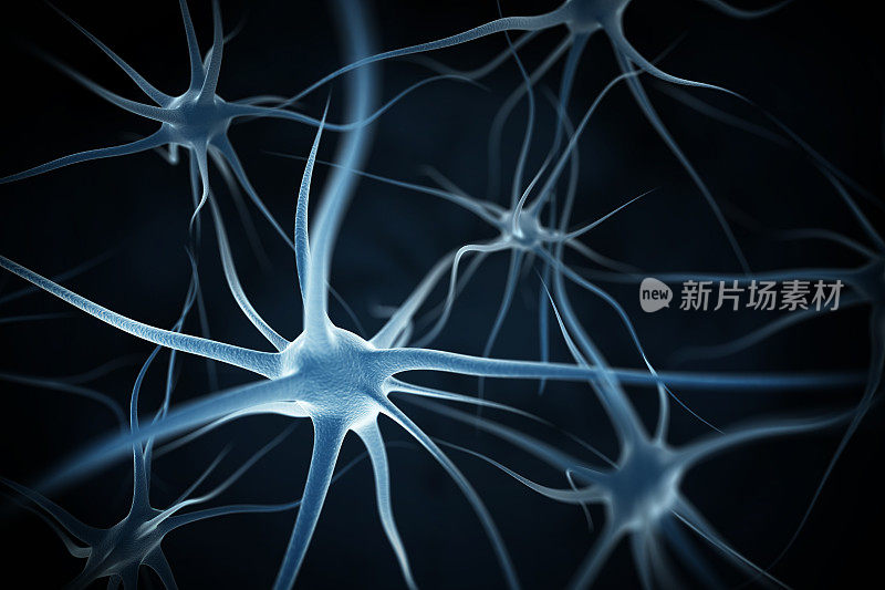 神经元抽象背景