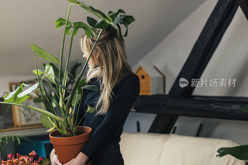 年轻美丽的白人妇女照顾她的房子植物-千禧植物父母