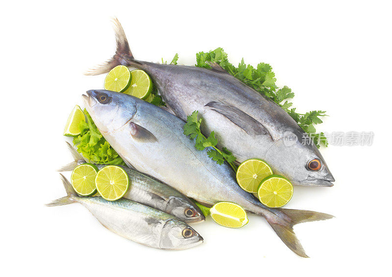 新鲜的琥珀鱼，短鲭鱼和生金枪鱼沙拉和欧芹叶与柠檬孤立的白色背景。