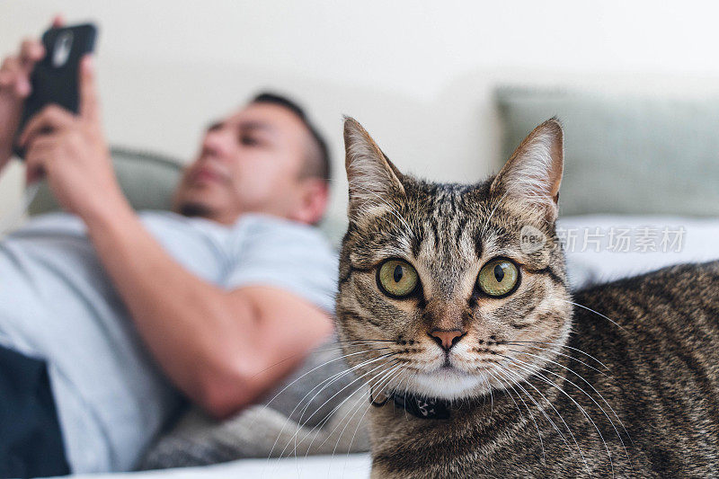 当男人在看手机时，猫咪在放松