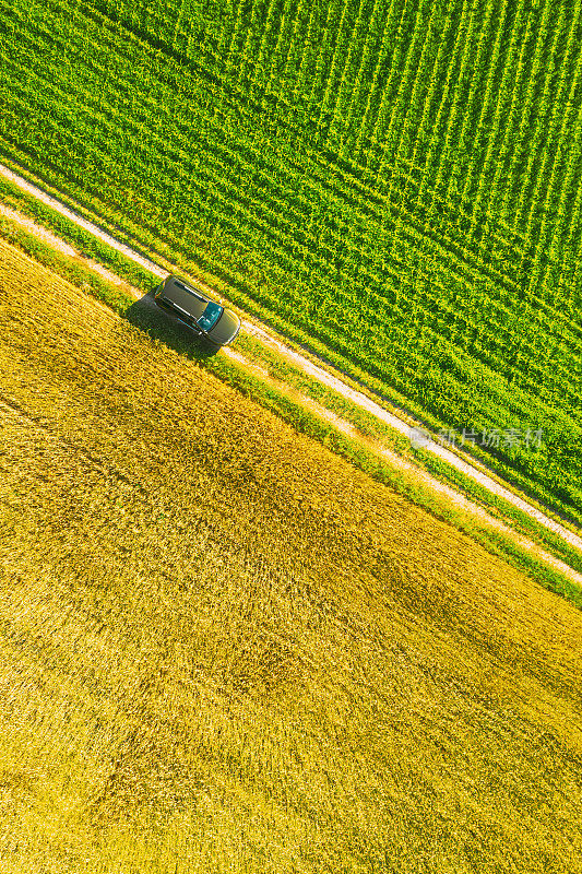 鸟瞰图雷诺Duster汽车SUV停在乡村道路附近的春天田野乡村景观。在年轻的小麦和玉米之间的玉米种植园