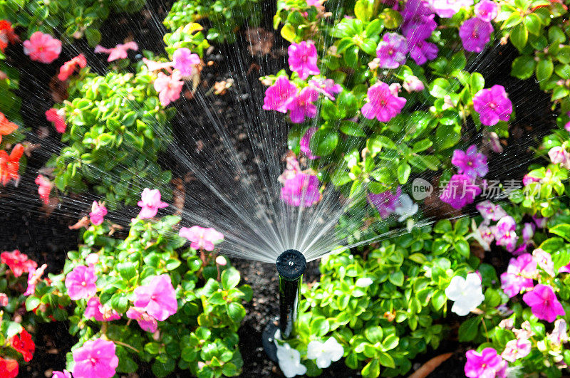 花床洒水保持花园灌溉