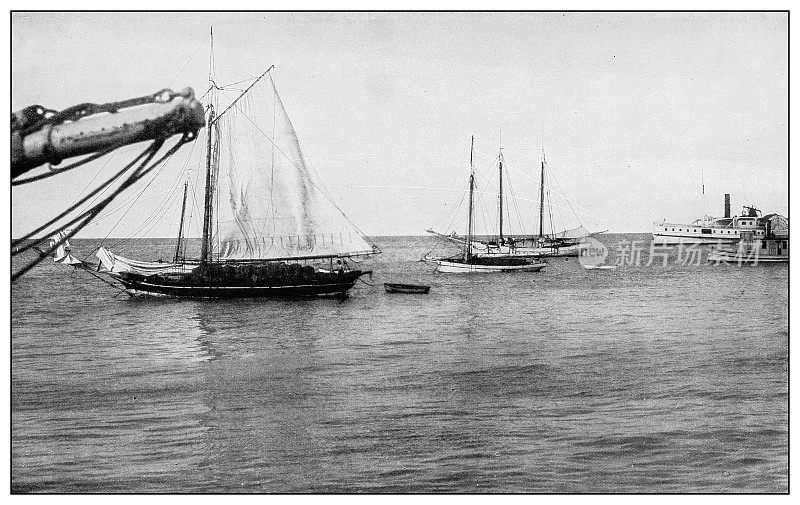 古董黑白照片:大海绵船成功巡航后返回，古巴