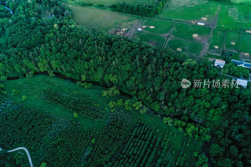 纳什维尔保护保护区和亨伯山谷遗产小径黄昏，沃恩，加拿大