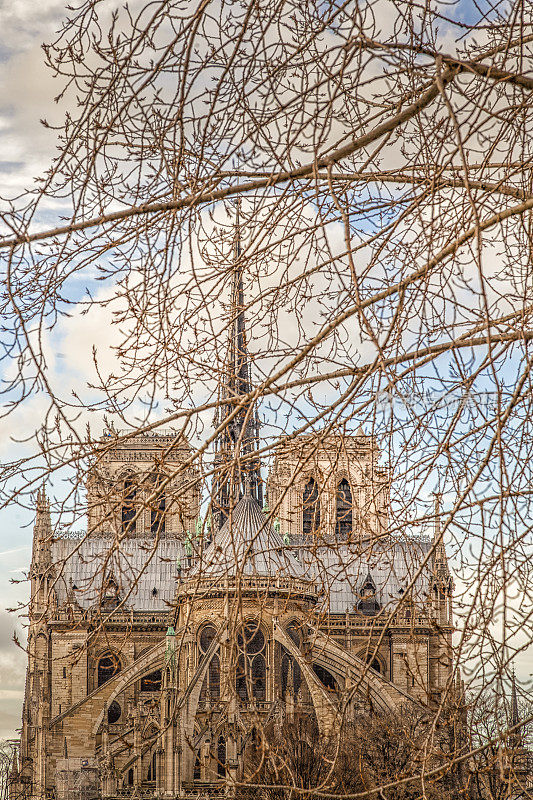 巴黎圣母院和它的塔尖