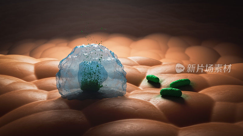 3D插图免疫系统蛋白与淋巴细胞，t细胞或癌细胞