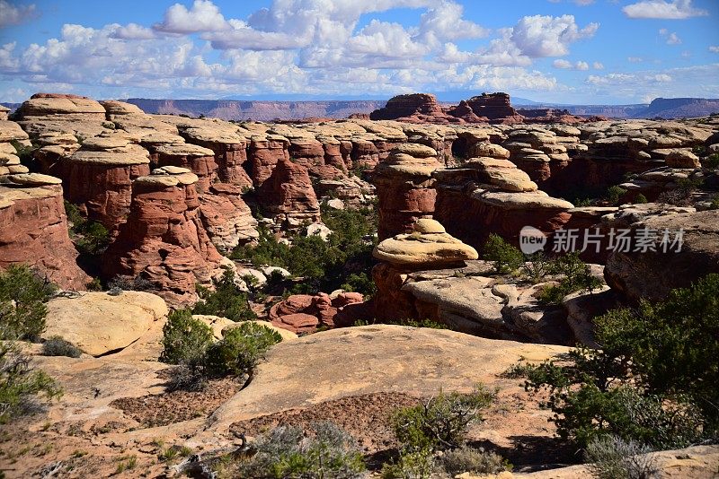 峡谷地的针状物NP