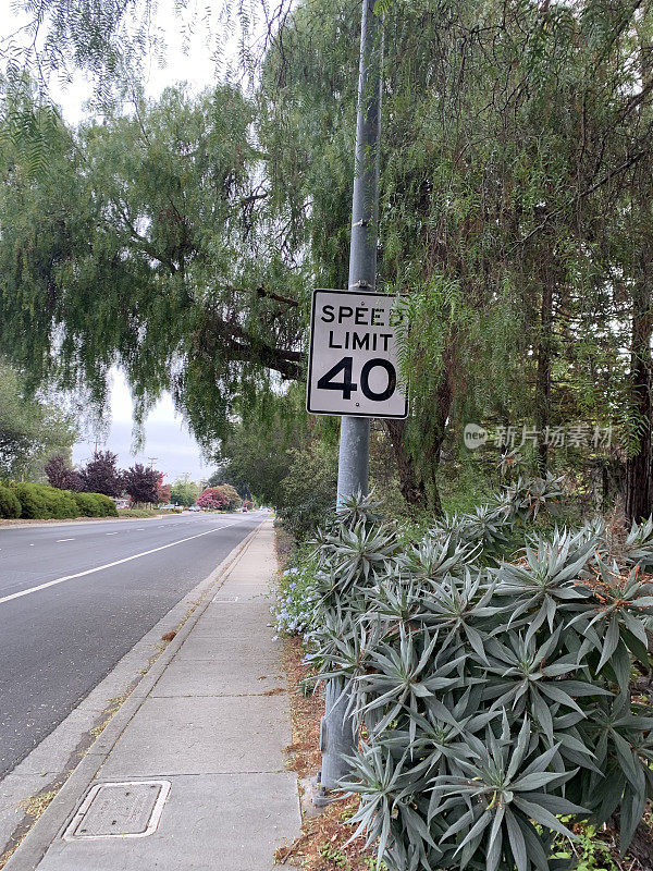 加州街道上的限速标志
