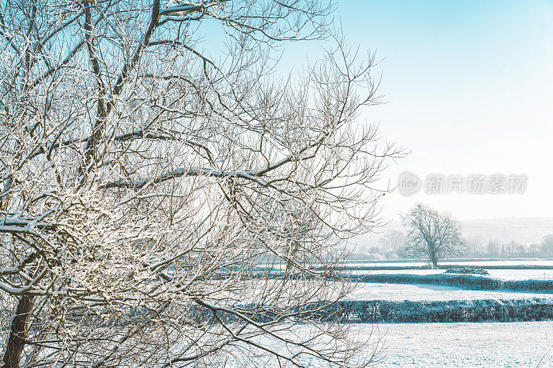 一个寒冷的早晨，这个季节的第一层雪