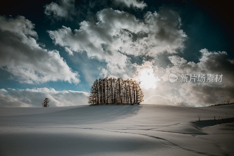 落叶松林在雪山上，碧蓝的天空在比北