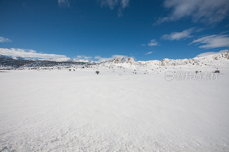 冬天下雪的场景