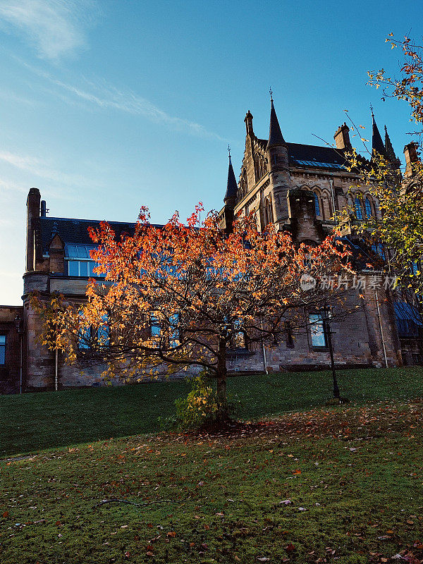 历史格拉斯哥大学塔和建筑在格拉斯哥苏格兰英格兰英国