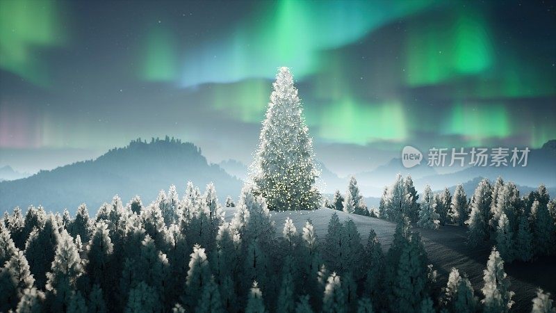 在北极光照耀下山上的圣诞树