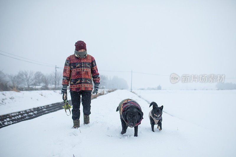 下雪天在乡间小路上遛狗