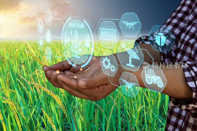 利用物联网的智能农业，利用智能农业种植水稻，利用现代技术发展精准农业，以提高未来的生产力。