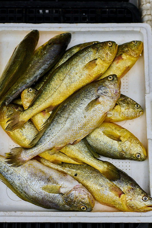 新鲜捕获的凤尾鱼在鱼市场