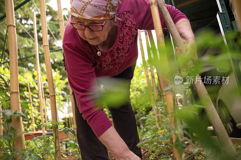 活跃的女人在一个小花园里干活