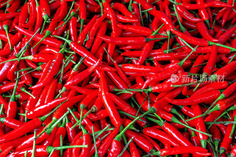 彩色新鲜红辣椒的背景图像。