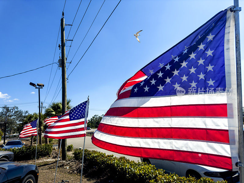 美国国旗在晴朗的天空上排成一排