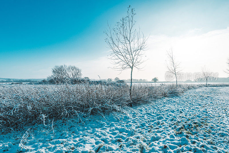 一个寒冷的早晨，本季的第一层雪