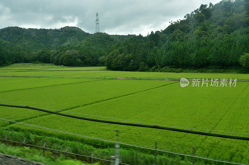 日本乡村景观:从东海道新干线高速列车上观看