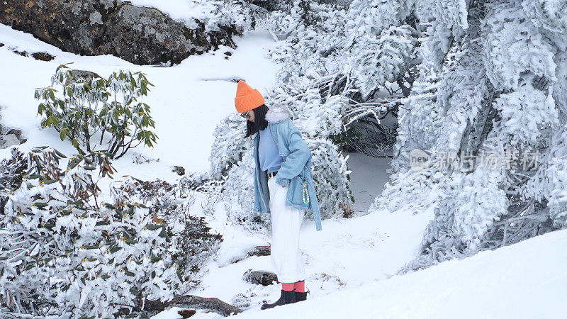 一个女人在寒冷的天气里穿行于白雪覆盖的山林之中