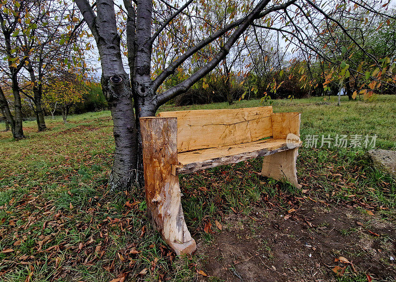 用自然公园里一棵砍下来的树的一根原木雕刻而成的长凳树干。巨大的树干。它是一种厚重的木质产品，具有自然、耐用的外观。昆虫生态避难所