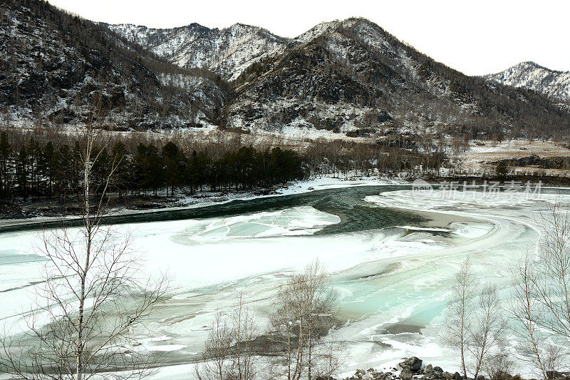 冬日里，在风景如画的山谷中，雪山脚下，一条美丽的河流冰冻的河床上，透过白桦树向外眺望。