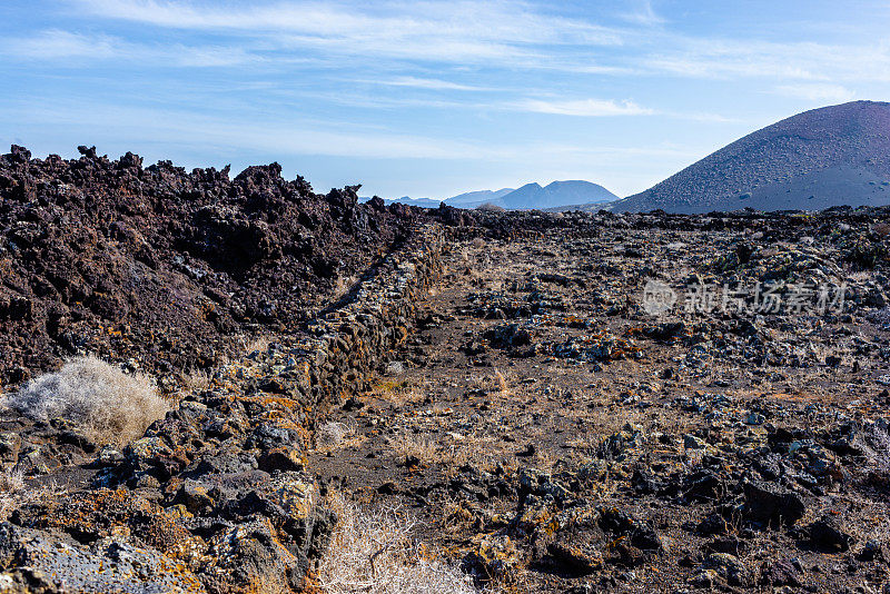 兰萨罗特岛加那利岛的火山景观