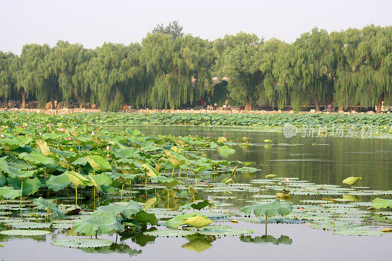 北京的北海湖